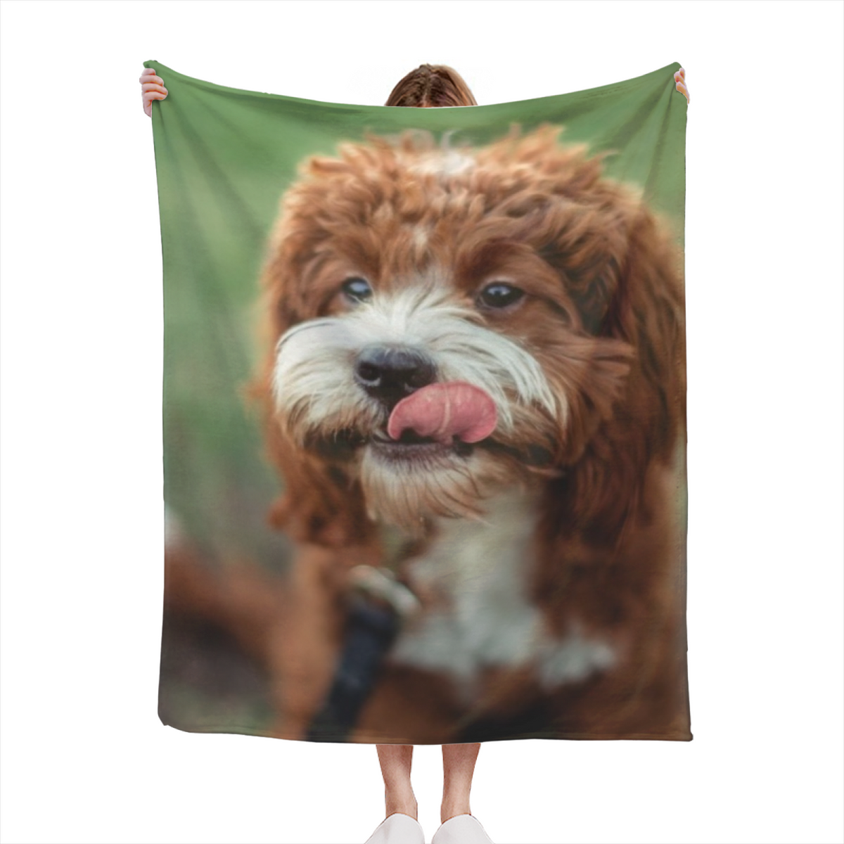 Rich Multicolor Festival Wonder Lightweight Flannel Throw ¨C Contemporary Pattern