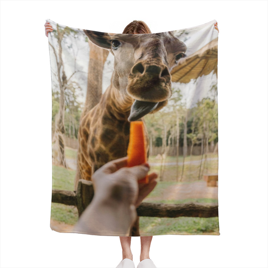 Abstract Artistic Throw Blanket ¨C Contemporary Graphic Printed Blanket