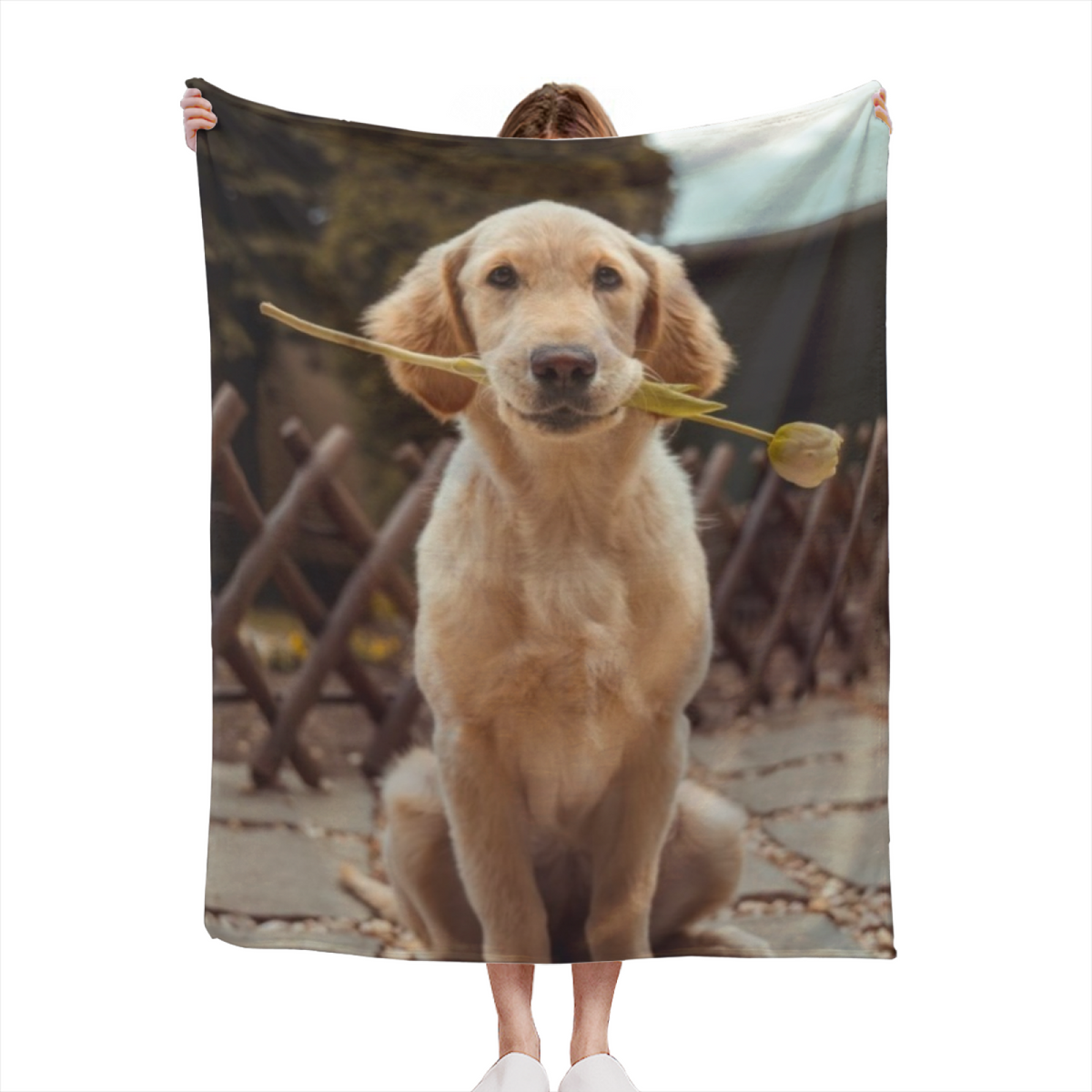 Soft Minimalist All-Season Flannel Blanket ¨C Burnished Carnival Collection