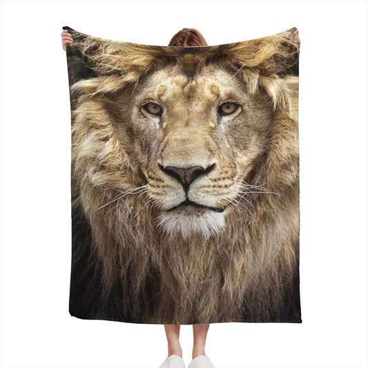 Celestial & Picnic Playful Graphic Plush Flannel Throw