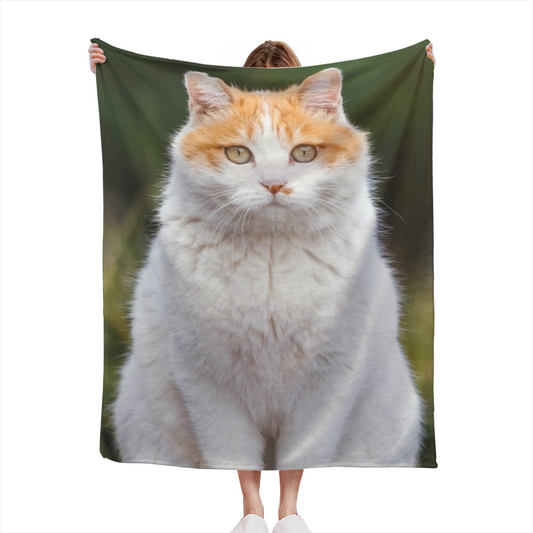 Soft Minimalist Plush Flannel Throw ¨C Celestial Tapestry Collection