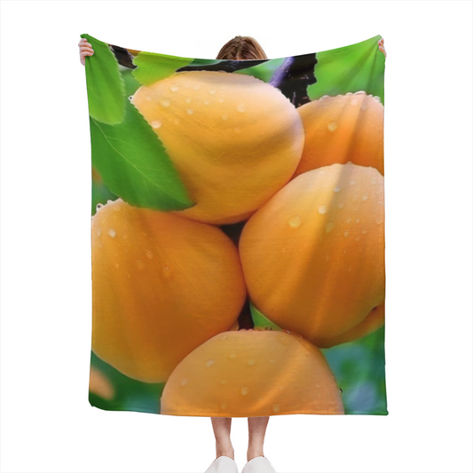 Moonbeam Fable Home Accent Soft Flannel Blanket ¨C Rich Multicolor