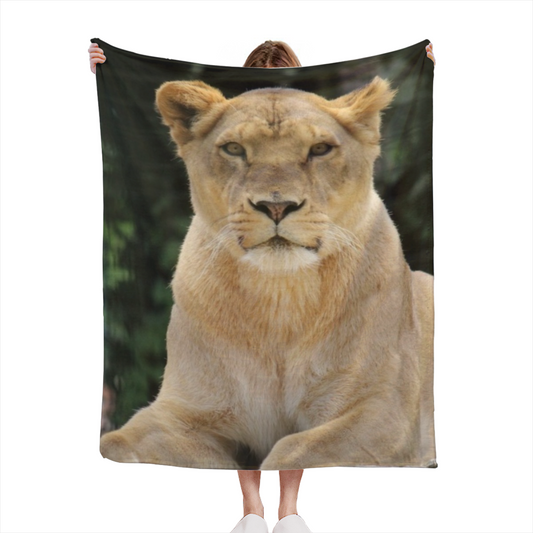 Seaside Prism Inspired Flannel Sofa Throw ¨C Earthy Neutral Palette