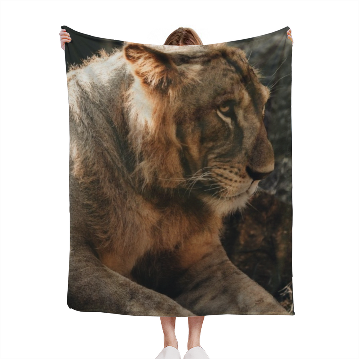 Dreamy Soft Neutral Velvet Echo All-Season Flannel Blanket
